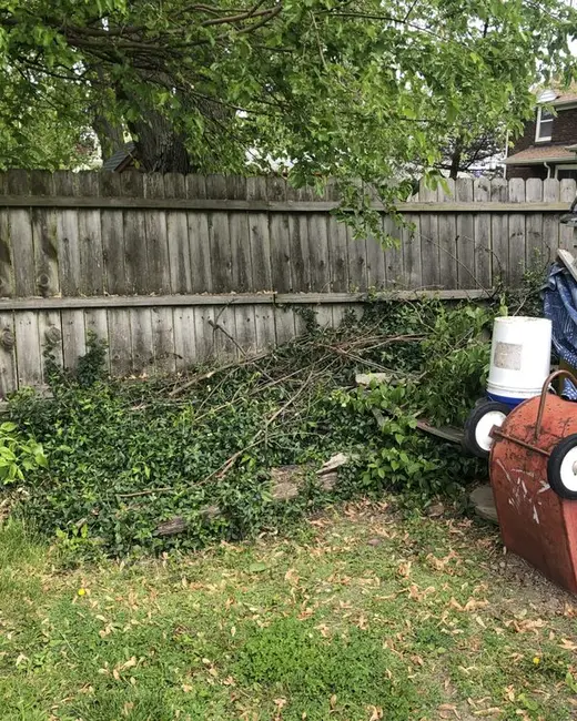 Back yard fence line with overgrowth, a ladder, a propane tank and stacked items beside a shed
