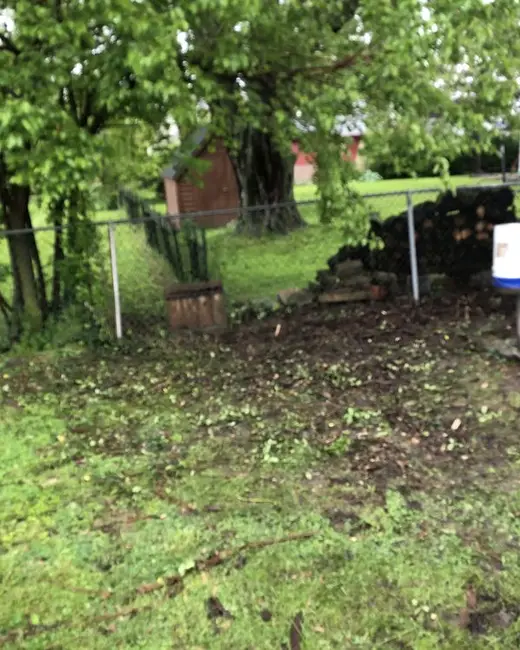 Back yard fence line after clearing, with open grass beside a red shed