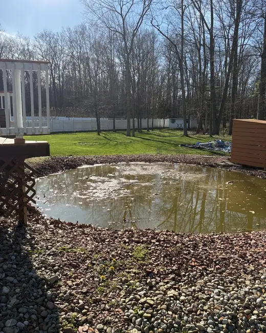 Former pool site with the pool removed, showing a shallow ring of water and gravel beside a wooded lot